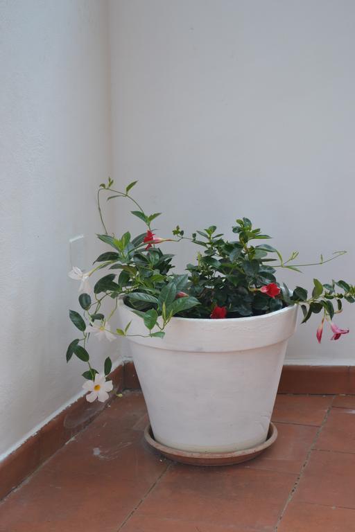 Flai Home Vico Equense Εξωτερικό φωτογραφία